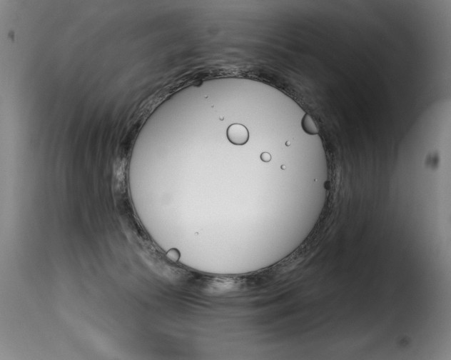X0000116010177200911191246