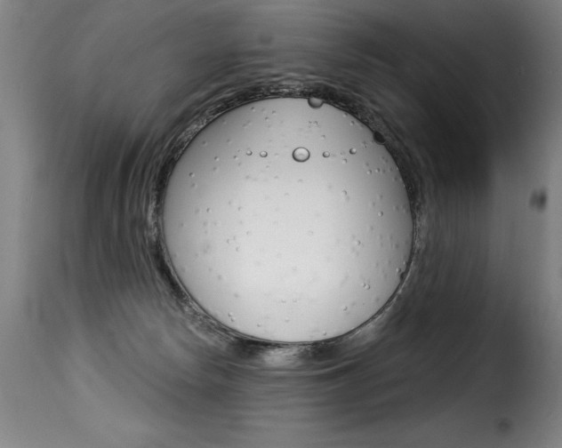 X0000116010178200911191246