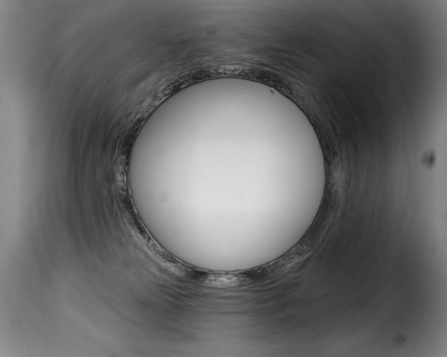 X0000116010181200911191246