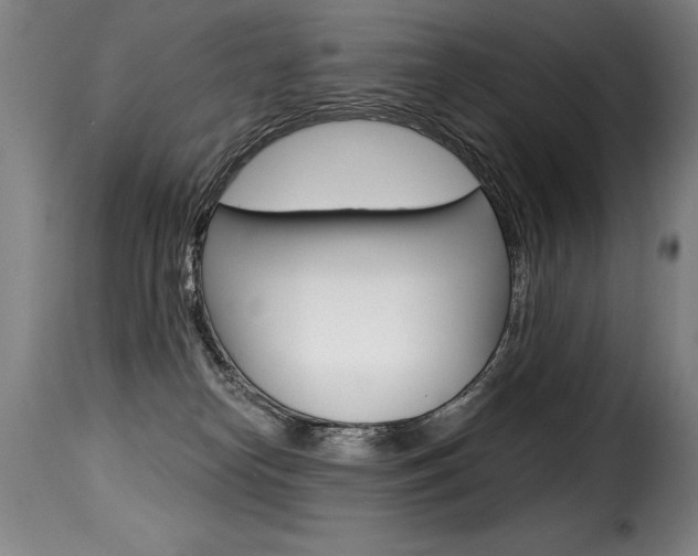 X0000116010182200911191246