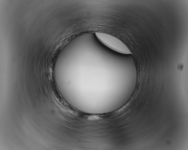 X0000116010183200911191246