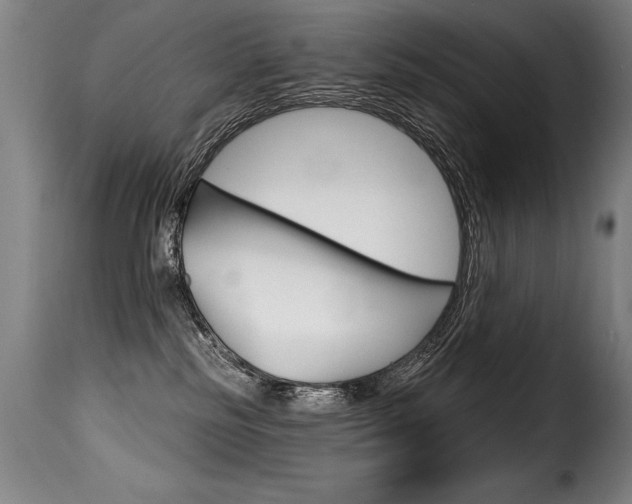 X0000116010185200911191246