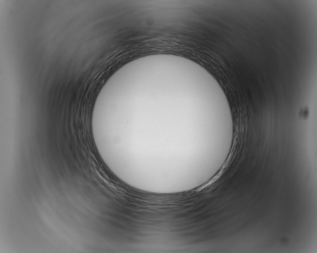 X0000116010186200911191246