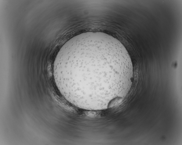X0000116010187200911191246