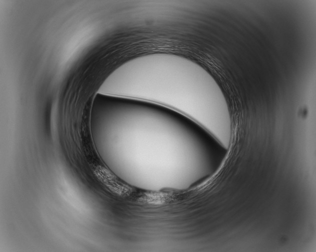 X0000116010190200911191246