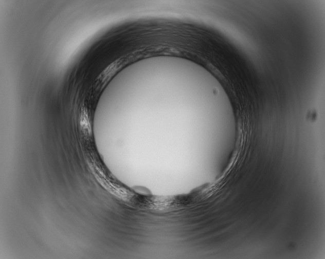X0000116010191200911191247