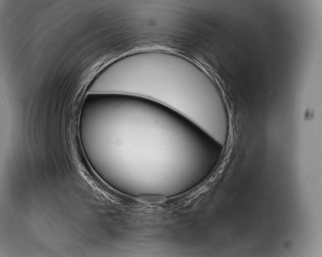 X0000116010193200911191246