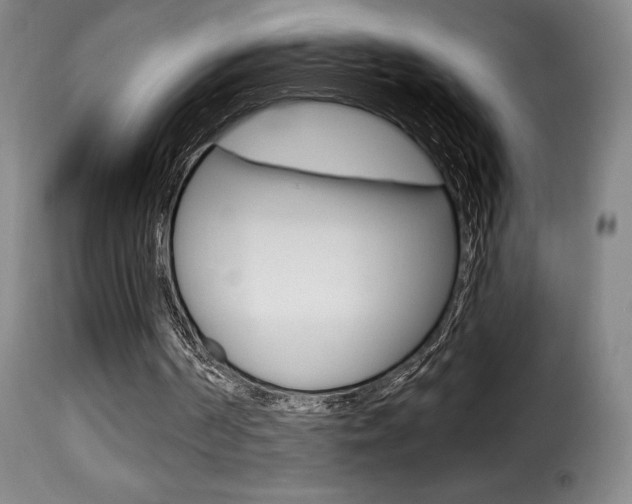 X0000116010194200911191246