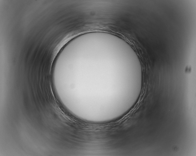 X0000116010195200911191246