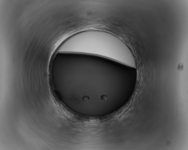 X0000116010196200911191246