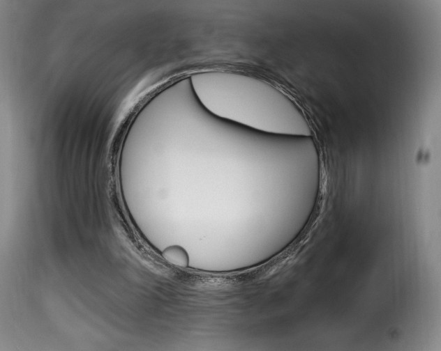 X0000116010198200911191246