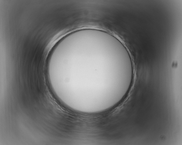 X0000116010199200911191246