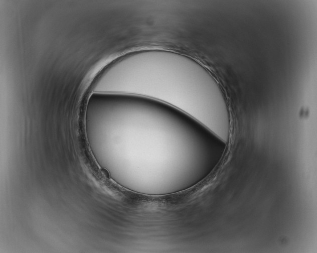 X0000116010200200911191246