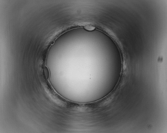 X0000116010201200911191246
