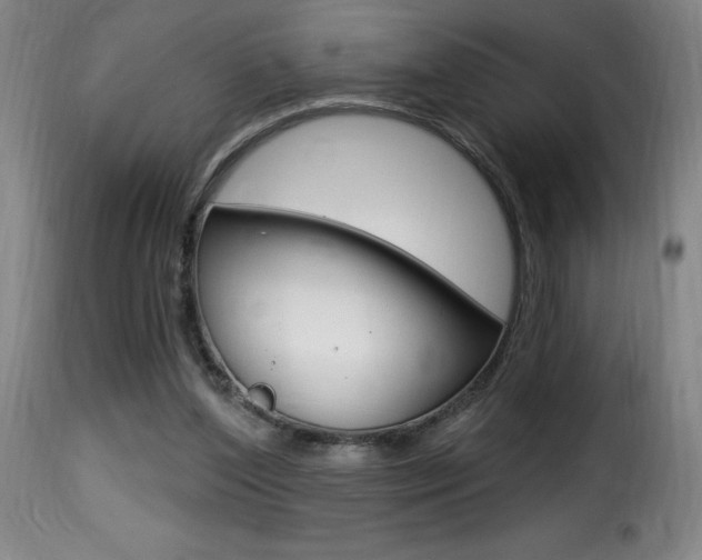 X0000116010204200911191246