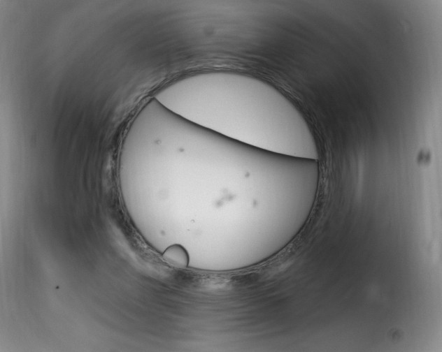 X0000116010206200911191246