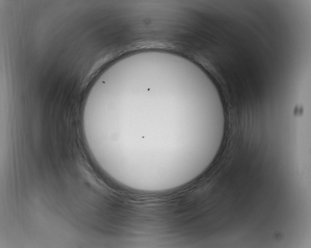 X0000116010207200911191245