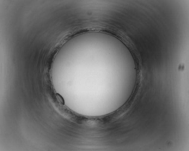 X0000116010209200911191245