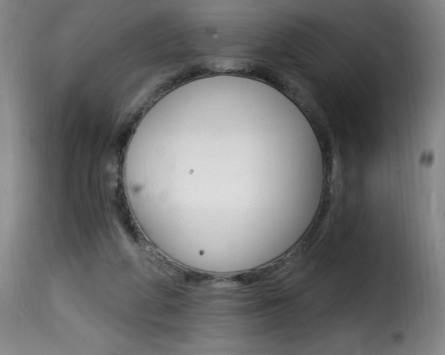 X0000116010210200911191245
