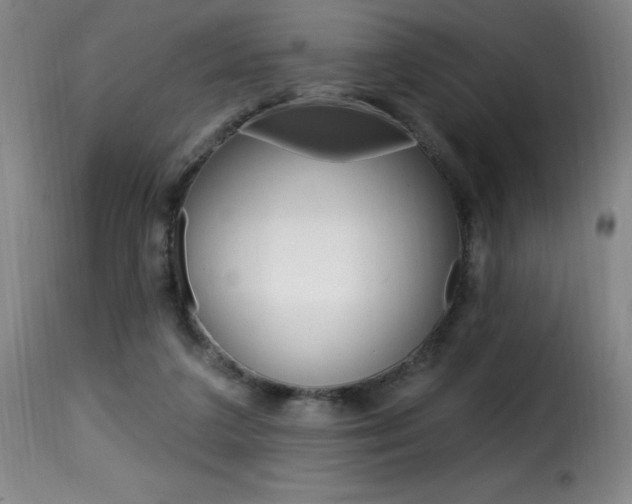 X0000116010211200911191245
