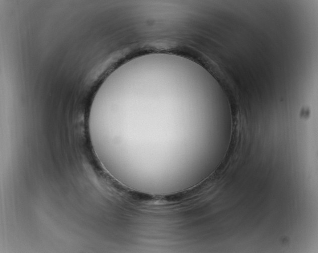 X0000116010212200911191245