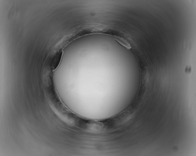 X0000116010215200911191245