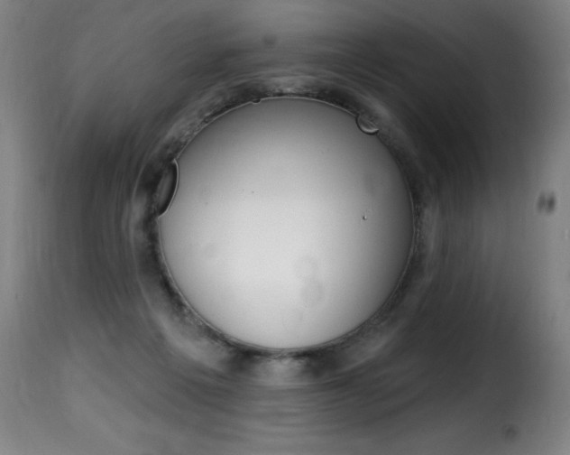 X0000116010217200911191245
