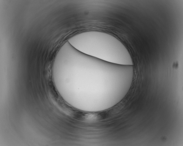 X0000116010218200911191245