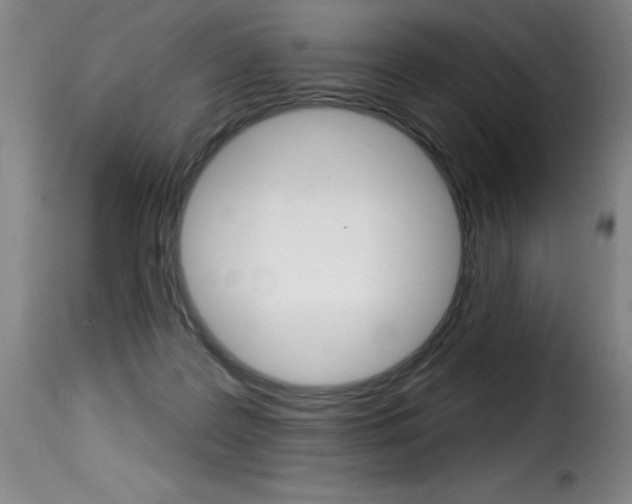 X0000116010219200911191245