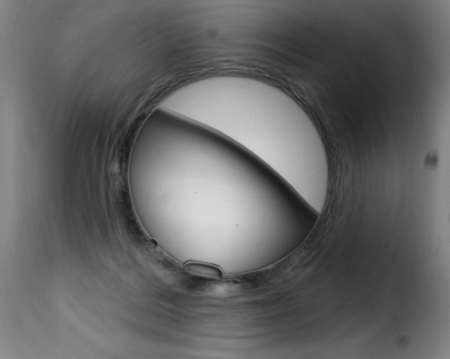 X0000116010220200911191245