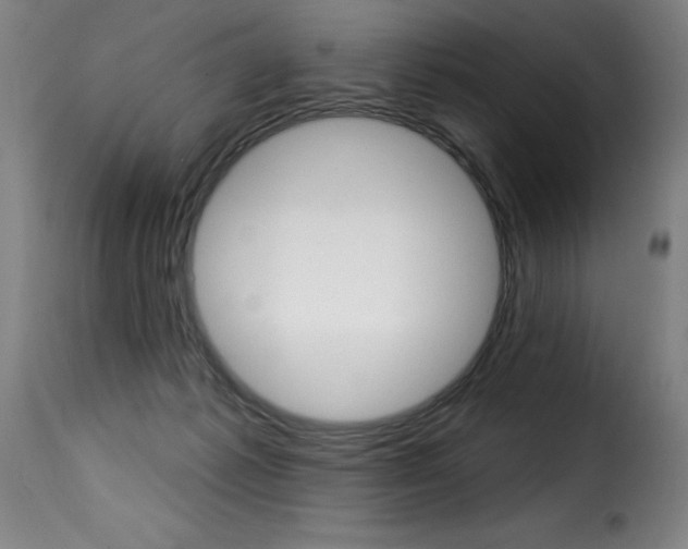X0000116010221200911191245