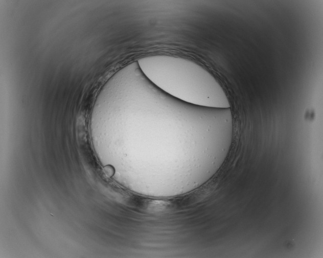 X0000116010222200911191245
