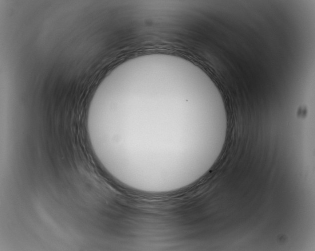 X0000116010223200911191245