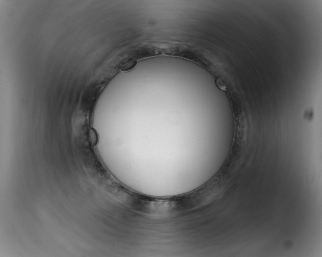 X0000116010225200911191245