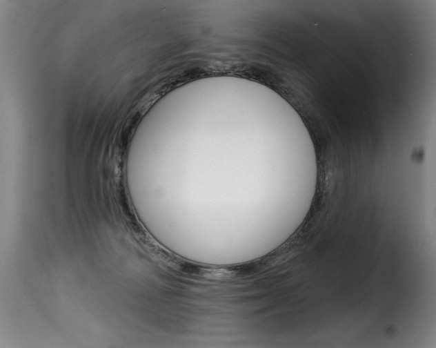 X0000116010226200911191245