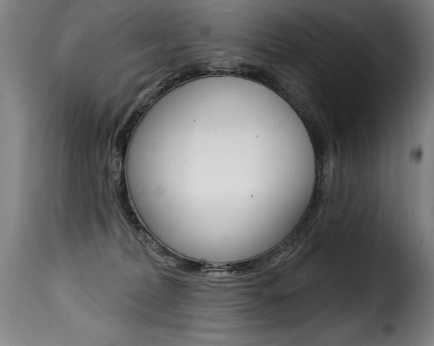 X0000116010228200911191245