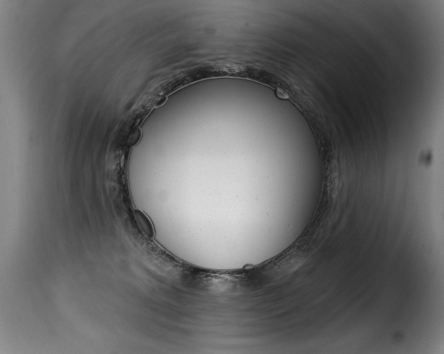 X0000116010229200911191245