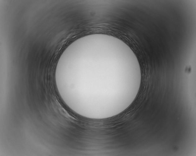 X0000116010231200911191245