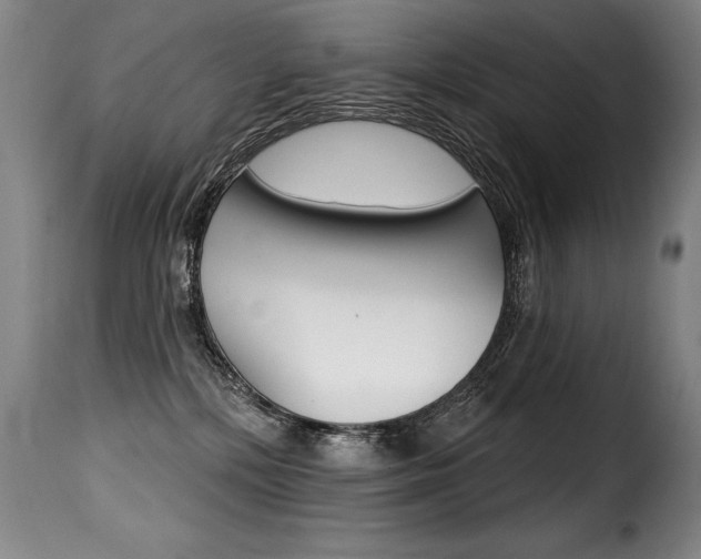 X0000116010232200911191245