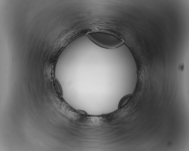 X0000116010233200911191245