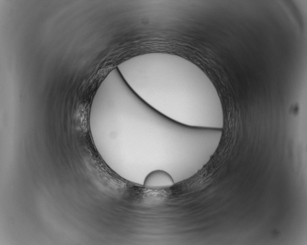 X0000116010234200911191245