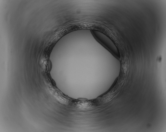 X0000116010235200911191245