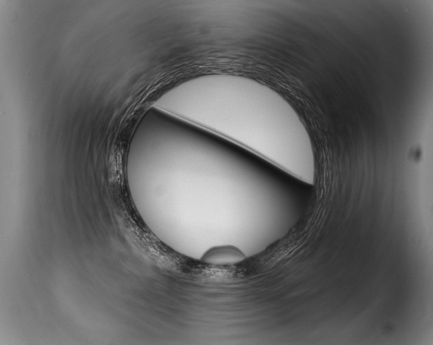 X0000116010236200911191245