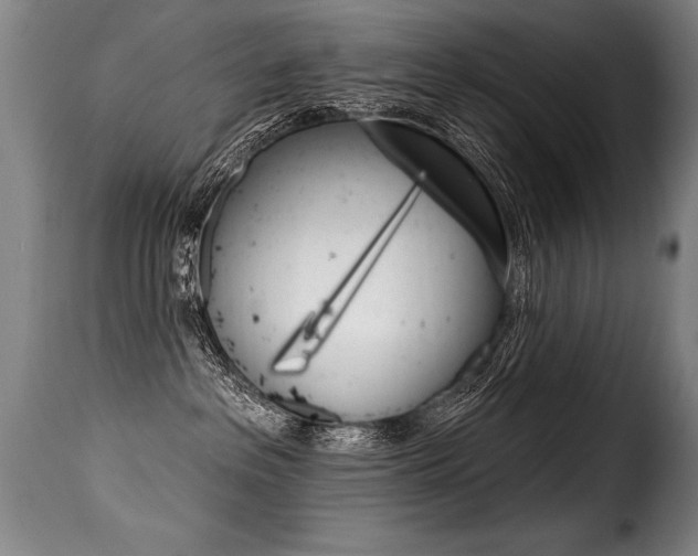 X0000116010237200911191245