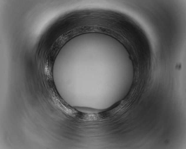 X0000116010239200911191245