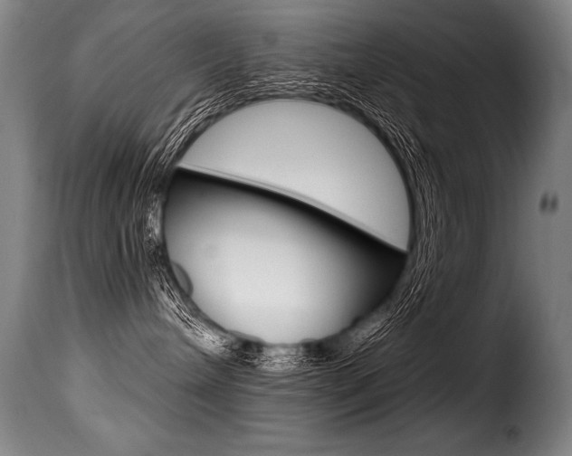X0000116010240200911191245