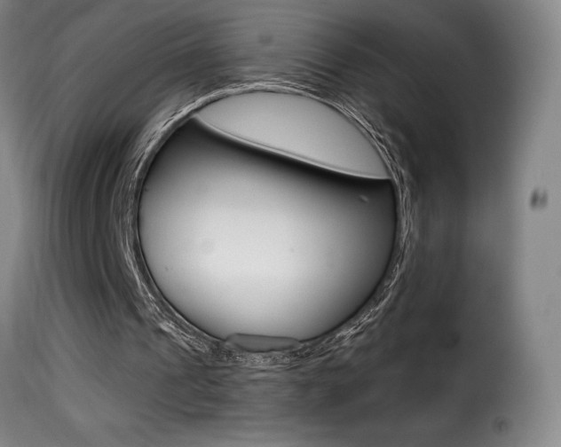 X0000116010241200911191244