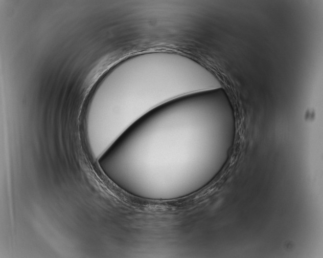 X0000116010242200911191244
