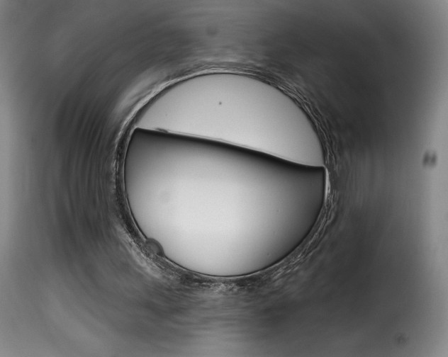 X0000116010243200911191244