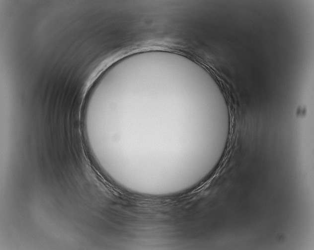 X0000116010244200911191244